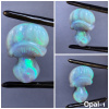 Opal 1 